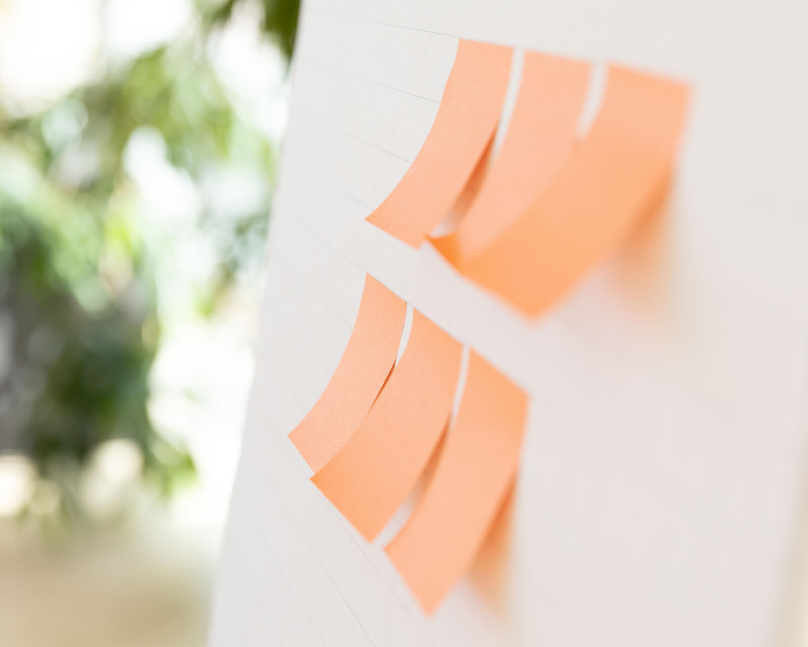 Workshop-Setup mit Post-Its im Level 4